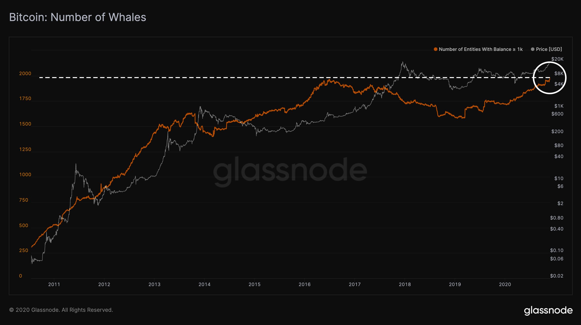Steady increase in Bitcoin whale wallet addresses